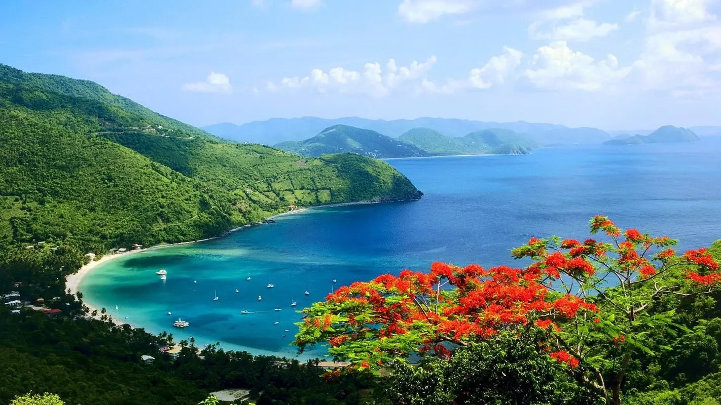 高性能绿色