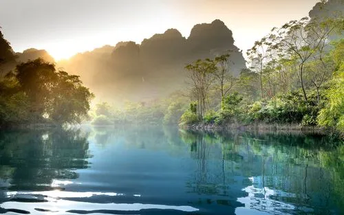 高性能科技